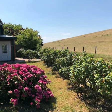 Holiday home Deichhof Von 1843 In Tossens Direkt An Der Nordsee Fuer 12 Personen