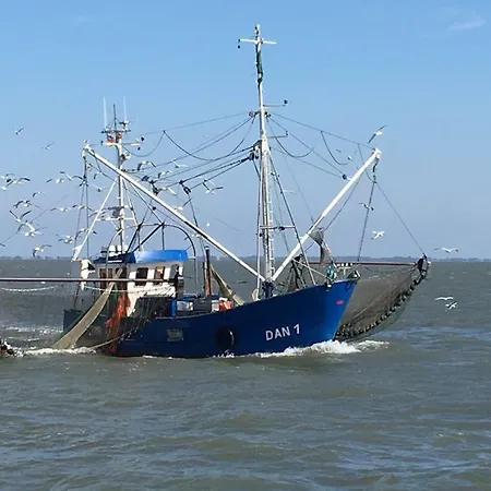 Holiday home Deichhof Von 1843 In Tossens Direkt An Der Nordsee Fuer 12 Personen Butjadingen