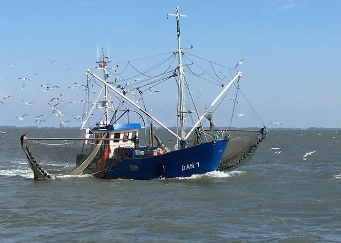 Tatil Evi Deichhof Von 1843 In Tossens Direkt An Der Nordsee Fuer 12 Personen Butjadingen
